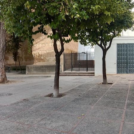 Casa Mnuela - Centro Jerez - Parking Opcional Apartment Jerez de la Frontera Luaran gambar