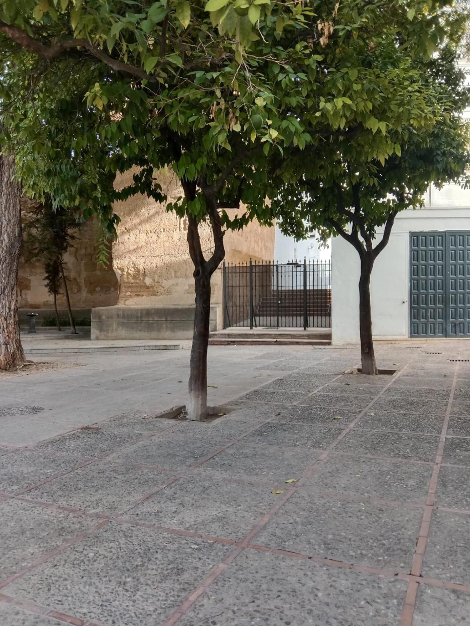 Casa Mnuela - Centro Jerez - Parking Opcional Apartment Jerez de la Frontera Luaran gambar